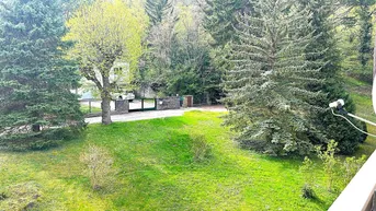 Expose ++ Vogelgezwitscher und Waldluft! ++