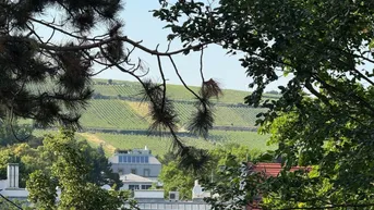 Expose * Top sanierte Wohnung mit Park und Weinbergblick *