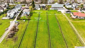 Expose LEOPOLDSKRON | PANORAMAGRUNDSTÜCK AM GRÜNLAND