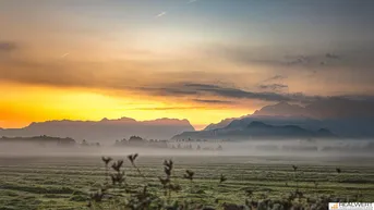 Expose MORGENTAU AM GRÜNLAND | PANORAMAGRUNDSTÜCK LEOPOLDSKRON