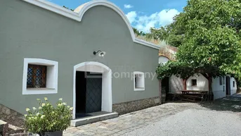 Expose Weinkeller mit Haus