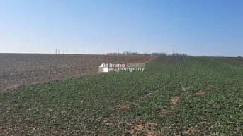 Expose Einmalige Gelegenheit großer Grund mit Bohrrecht Thermalwasser - Unique opportunity to acquire large land near Heviz with drilling rights for thermal water.