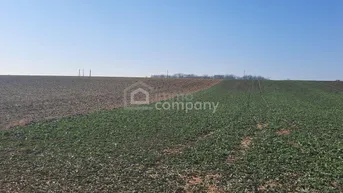 Expose Einmalige Gelegenheit großer Grund mit Bohrrecht Thermalwasser - Unique opportunity to acquire large land near Heviz with drilling rights for thermal water.