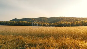 Expose Baugrundstück *** Realisieren Sie Ihr Wohnbauprojekt *** Nähe Hainburg
