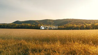 Expose Baugrundstück *** Realisieren Sie Ihr Wohnbauprojekt *** Nähe Hainburg