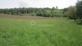 Expose Schöne Baugründe am Ortsrand von Güssing