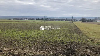 Expose Schöner Baugrund unweit von Jennersdorf