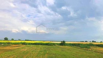 Expose Ertragreiche landwirtschaftliche Nutzfläche, biologische Landwirtschaft 
