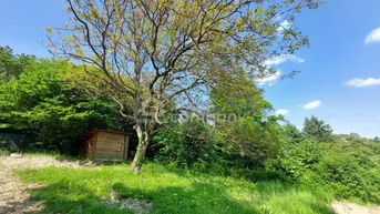 Expose !!! Preisreduktion !!! Baugrundstück in Wienerwald Ruhelage an der Wiener Stadtgrenze im Bezirk Klosterneuburg