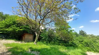 Expose !!! Preisreduktion !!! Baugrundstück in Wienerwald Ruhelage an der Wiener Stadtgrenze im Bezirk Klosterneuburg