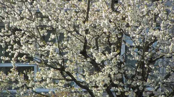 Expose Schöne und große Wohnung. - Sonnig, tolle Aussicht !