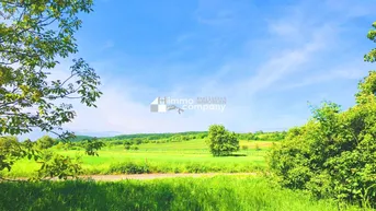 Expose Baugrund gesamt im Paradies