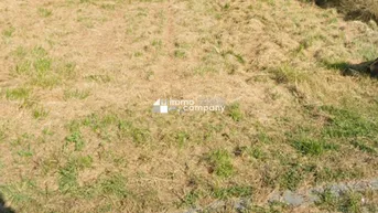 Expose Eigenheimträume verwirklichen - Baugrund in Gols, Burgenland mit 1075m²