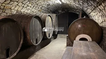 Expose Traditionelles Bauernhaus mit historischem Weinkeller