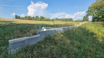 Expose Großzügiges Grundstück für Gewerbe oder Wohnen - 4134m² zum unschlagbaren Preis von 150.000,00 €!