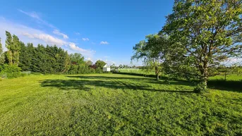 Expose Seeblick - Traumhaftes Grundstück in Breitenbrunn