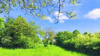 Expose Baugrund 1 in Höhenlage am Naturschutzgebiet
