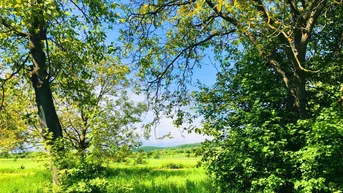 Expose Baugrund 2 in Höhenlage am Naturschutzgebiet 