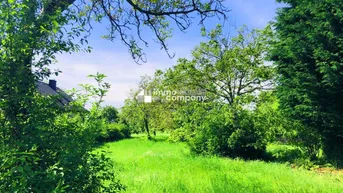 Expose Baugrund 4 in Höhenlage am Naturschutzgebiet 