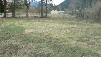 Expose Traumhaftes Baugrundstück in Neuberg an der Mürz: 4701m² mit herrlichem Grünblick!