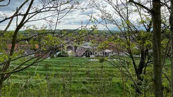 Expose Verborgener Schatz im Reintal - ein Weinviertler Wohnjuwel mit Potenzial