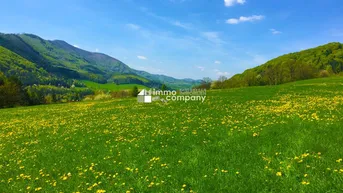 Expose Besser leben am Land !!! Hier wird wohnen zum Genuss !!! Ihre Chance ein tolles Landhaus zu erwerben !!! Traumlage !!!