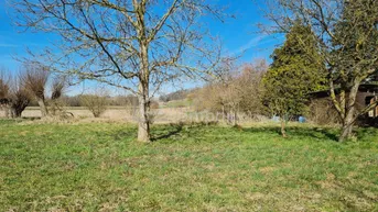 Expose Traumhaftes Baugrundstück in Gunskirchen - 1647m² für Ihr Eigenheim - 2 Doppelhäuser möglich !!!