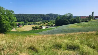 Expose Sonniges Baugrundstück in Kirchberg an der Raab – Natur pur &amp; Weitblick inklusive!