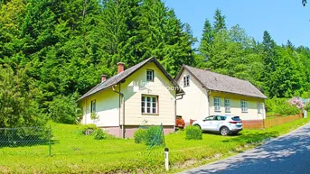 Expose Renovierungsbedürftige Landhäuser viel Grund - Gesamtfläche 4032 m² !!! Renovierung und Schönheitsreparaturen sind erforderlich, dennoch sofort beziehbar.