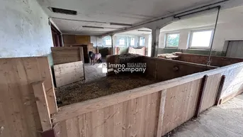 Expose Das Glück der Erde liegt am Rücken der Pferde I Selbstversorger-Stall nahe Oberndorf - ca. 8.000qm I +5 Boxen I Koppel I 500 EUR Miete!