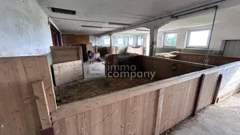 Expose Das Glück der Erde liegt am Rücken der Pferde I Selbstversorger-Stall nahe Oberndorf - ca. 8.000qm I +5 Boxen I Koppel I 500 EUR Miete!