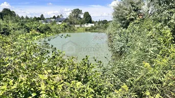Expose Traumhaftes Grünland Grundstück mit Fischteich in Prellenkirchen 18064m2 – Ihr Platz für Visionen!