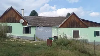 Expose Lassen Sie Ihrer Kreativität und Ihren Ideen freien Lauf!