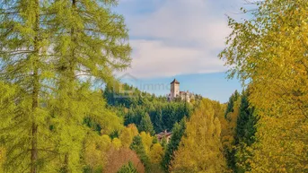 Expose Zwischen Burgblick und Waldesruh – ein Zuhause mit Geschichte