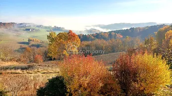 Expose Provisionsfrei! Traumhafter Weitblick bis zur Riegersburg