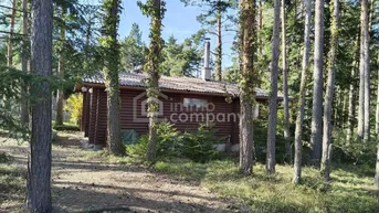 Rustikales Holzhaus inmitten eines dichten Kiefernwaldes unter blauem Himmel.