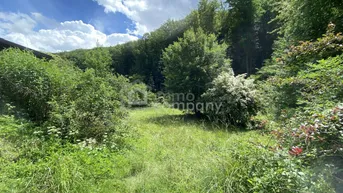 Naturbelassener Gartenbereich mit üppiger Vegetation und Blick auf den bewaldeten Hang.