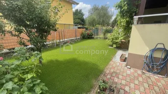 Grüner Gartenbereich mit Rasenfläche und gepflastertem Weg neben dem Haus.