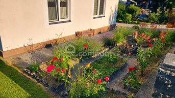 Gepflegter Vorgarten mit blühenden Blumenbeeten und Blick auf die Hausfassade.