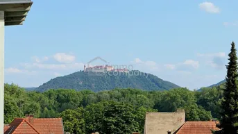 Panoramablick über die Dächer auf eine majestätische Burg auf einem bewaldeten Hügel unter blauem Himmel.