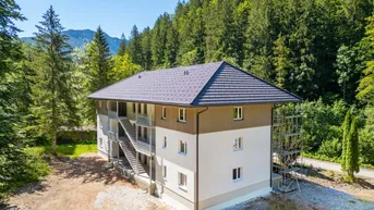 Expose BALD FERTIG !!! TREE - HOUSE - APARTMENTS in absoluter RUHELAGE im herrlichen ALMTAL - WALDNESS PUR !