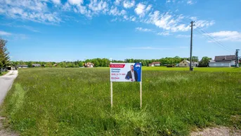Expose Attraktives Bauträgergrundstück im Grünen