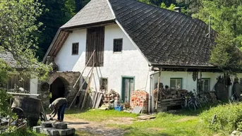 Expose Sacherl im Grünen