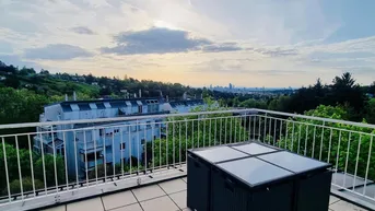 Expose Penthouse mit Weitblick in exklusiver Grünruhelage – PRIVATE ZUFAHRTSSTRASSE
