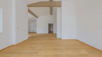 Expose Penthouse über den Dächern von Mittersill