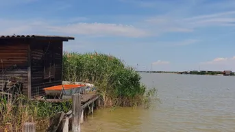 Expose Abbruchreife Seehütte in ruhiger Lage der Ruster Südbucht
