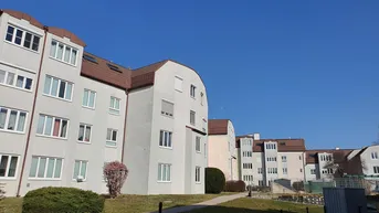 Expose 3-Zimmer-Wohnung, Top 1