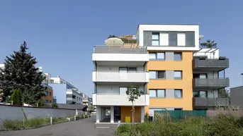 Expose 9-Zimmer-Lokal mit Loggia, Terrasse und Garten, Top 1