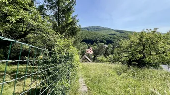 Blick über einen verwilderten Pfad und Zaun auf Häuser im Tal und bewaldete Hügel.