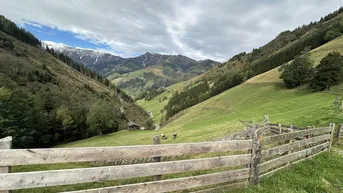 Expose Land- und Forstwirtschaft (ca. 11,9 ha) mit gesamter Hofstätte in ruhiger Lage von Rauris zu verkaufen